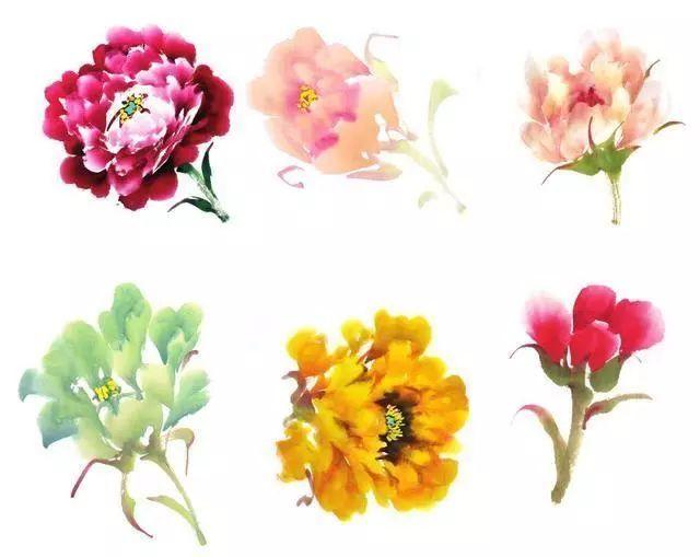 牡丹花头和花叶的三十种画法
