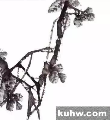 国画写意柿子的画法步骤