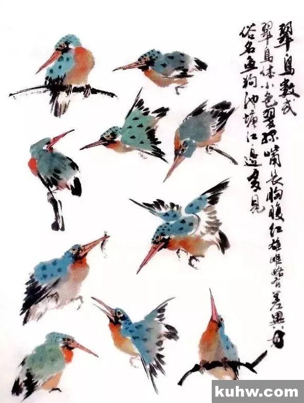 国画教程——翠鸟的写意画法