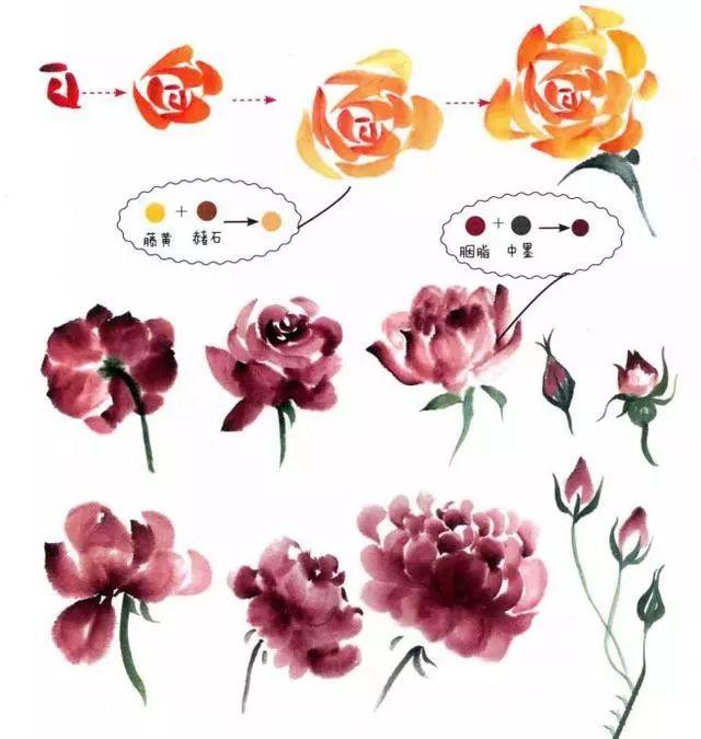 杨普义：月季的画法