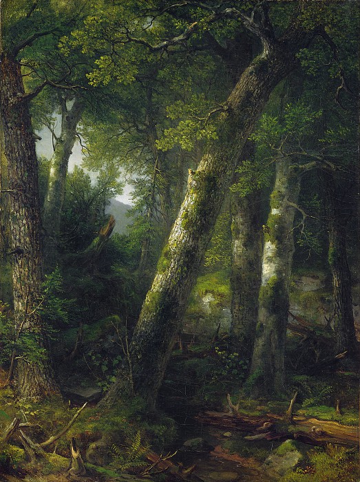阿舍·布朗·杜兰德（Asher Brown Durand）–晨曦中的森林 高清下载