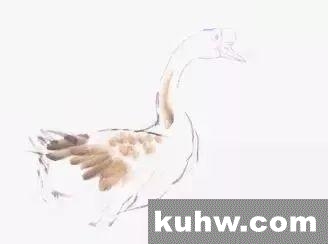 图文教程——鹅的写意画法