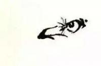 红腹锦鸡的画法