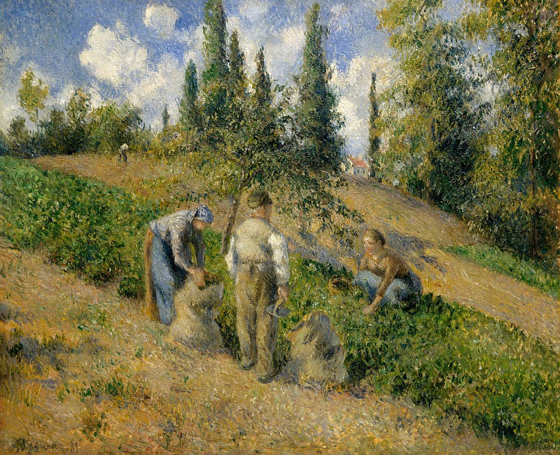 卡米耶·毕沙罗（Camille Pissarro）–蓬图瓦兹（The Ponteise）的丰收 作品