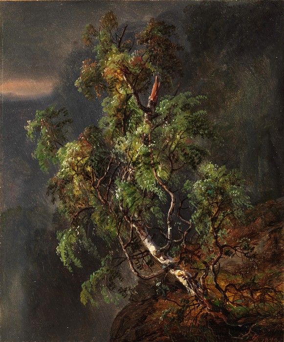 约翰·克里斯蒂安·达尔（Johan Christian Dahl）–暴风雨中的桦树 油画