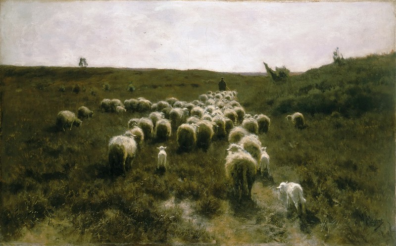 安东·莫夫（Anton Mauve）羊群归来油画