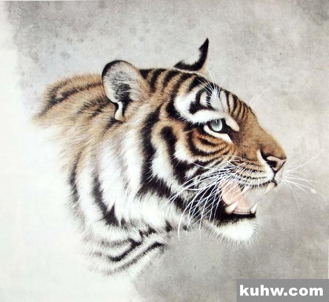 老虎画法-陈家明画虎