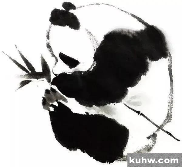 国画熊猫的画法步骤