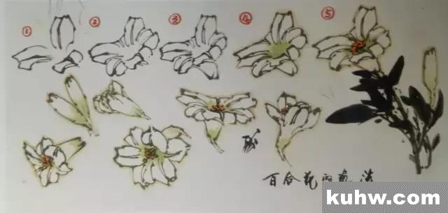 图文教程丨10种花鸟画的画法