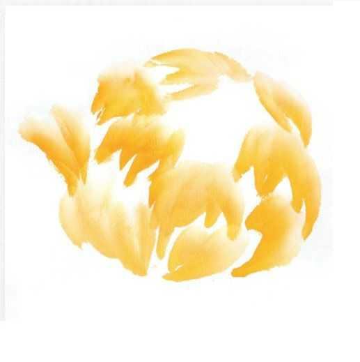 3种牡丹图解