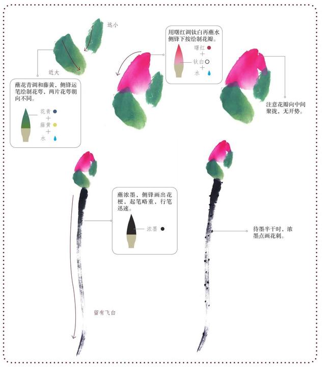 分步骤讲解荷花的画法