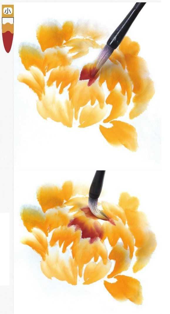 3种牡丹图解