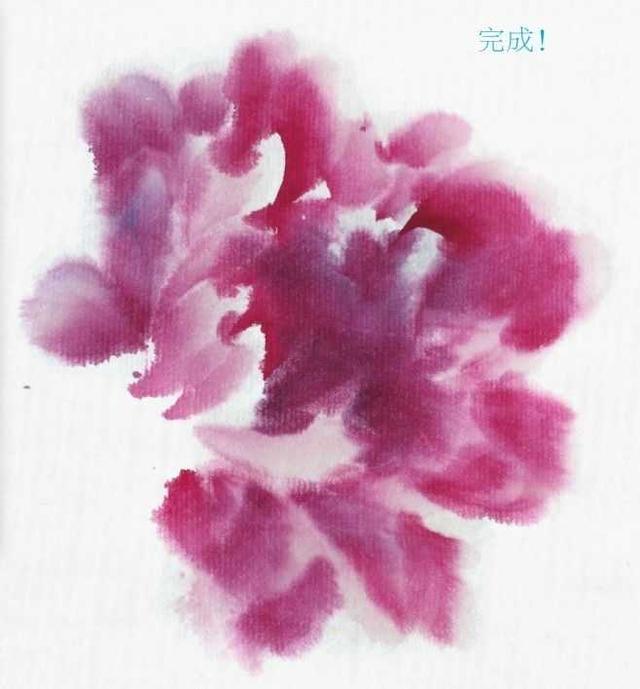 3种牡丹图解