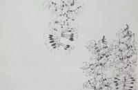 花鸟画银藤的画法