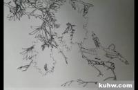 花鸟画紫藤的画法