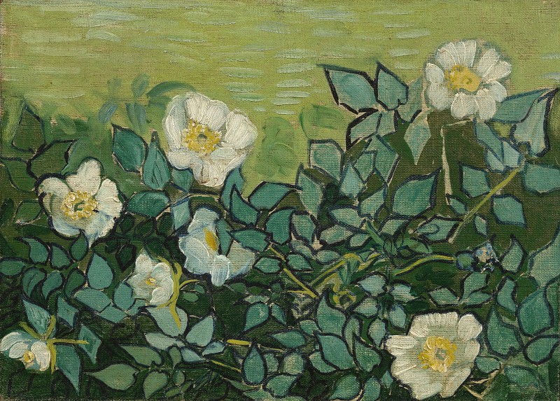 文森特·梵高（Vincent van Gogh）–1890年，野玫瑰油画