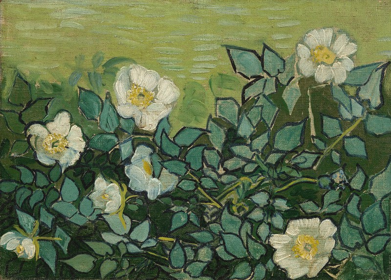 文森特·梵高(Vincent van Gogh)–1890年,野玫瑰油画