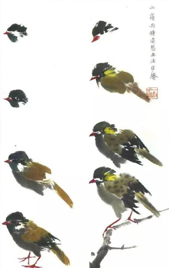 麻雀太平鸟绘画技法详解