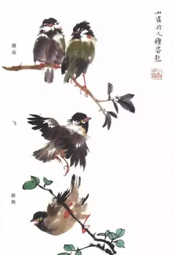 麻雀太平鸟绘画技法详解