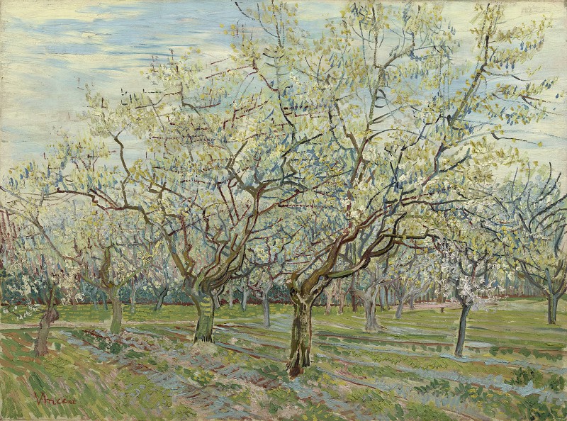 文森特·梵高（Vincent van Gogh） –朵朵梅花树的果园油画