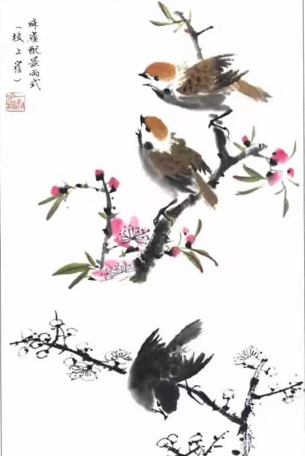 麻雀太平鸟绘画技法详解