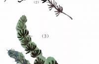 水草马鞭草的写意画法