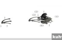 白头翁鸟的写意画法