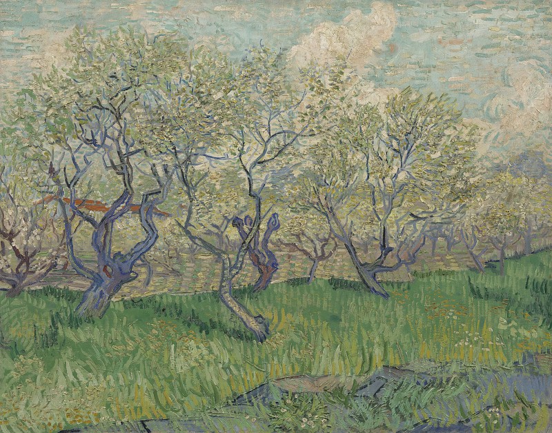 文森特·梵高（Vincent van Gogh）–1888年，盛开的果园油画