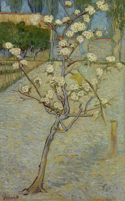 文森特·梵高（Vincent van Gogh）–1888年，洋梨树油画
