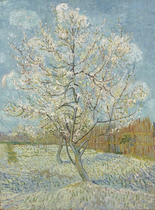 文森特·梵高(Vincent van Gogh)–1888年,盛开的桃树油画