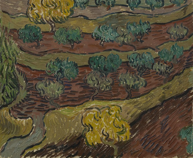 文森特·梵高（Vincent van Gogh）–1889年，在山坡上的橄榄树油画