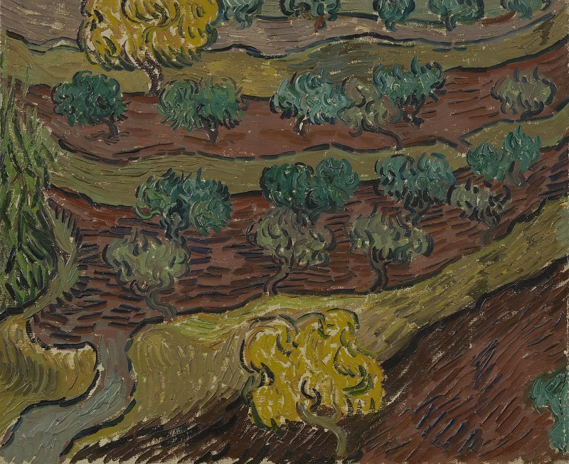 文森特·梵高(Vincent van Gogh)–1889年,在山坡上的橄榄树油画