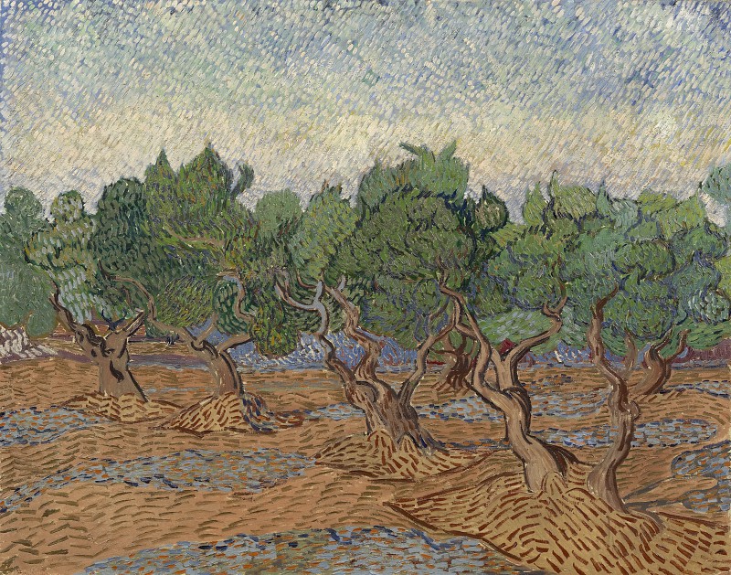 文森特·梵高（Vincent van Gogh）–1889年，橄榄树油画