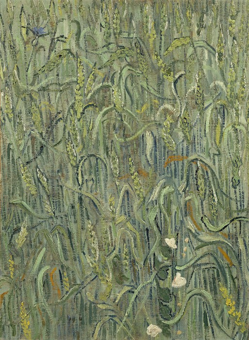 文森特·梵高（Vincent van Gogh） –1890年，麦穗油画