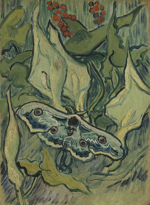 文森特·梵高（Vincent van Gogh） –大孔雀蛾油画高清下载