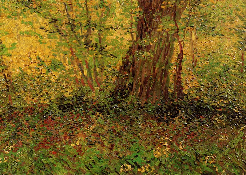 文森特·梵高（Vincent van Gogh） –灌木丛，1887年.zip