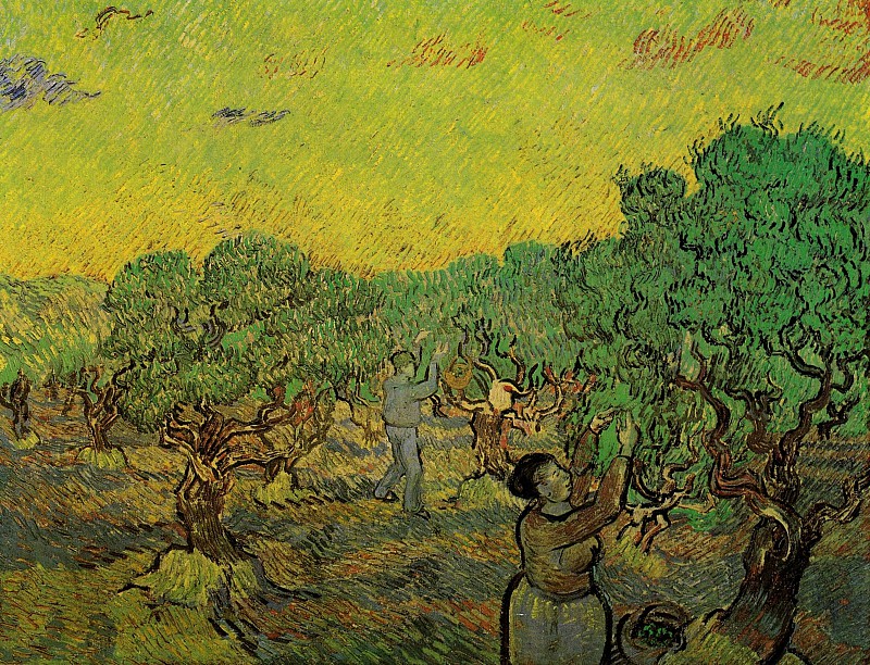 文森特·梵高（Vincent van Gogh） –橄榄采摘，1889年油画