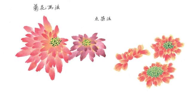 菊花详细绘画技法解析