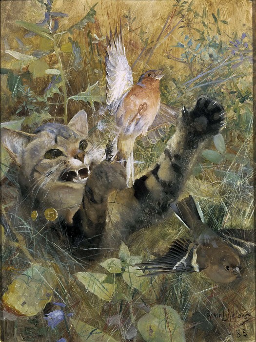 布鲁诺·利耶佛斯（ Bruno Liljefors） –1885年，猫和花鸡油画