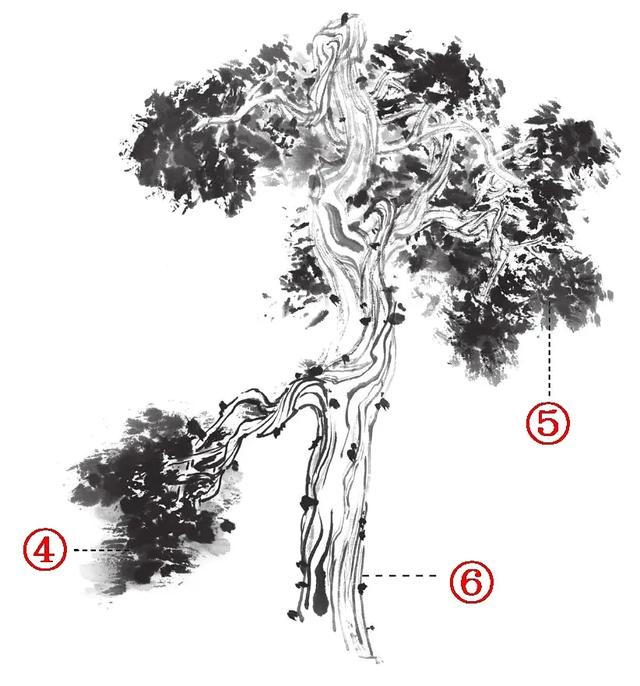 图文教程：柏树画法三例