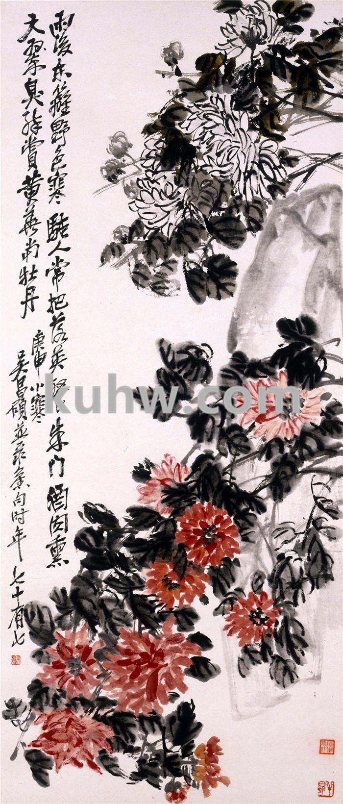 清 吴俊卿 设色菊花轴   作品下载