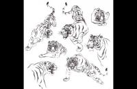 图文教程：写意虎技法