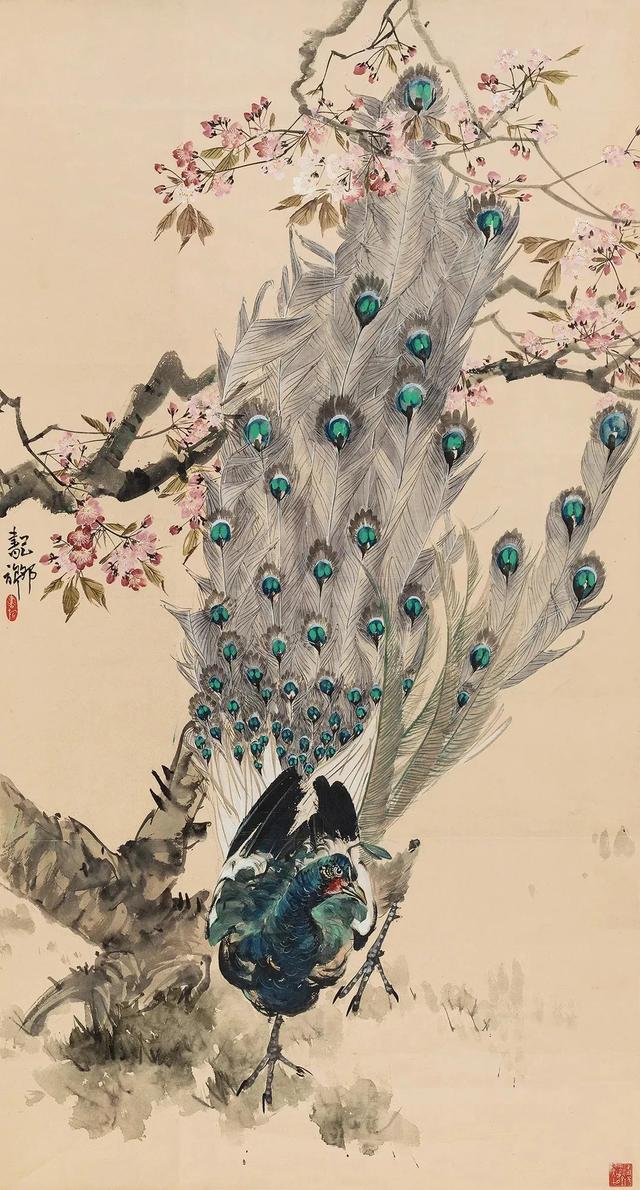 图文教程：写意白孔雀画法步骤