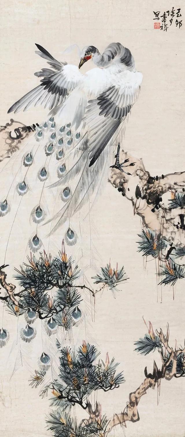 图文教程：写意白孔雀画法步骤