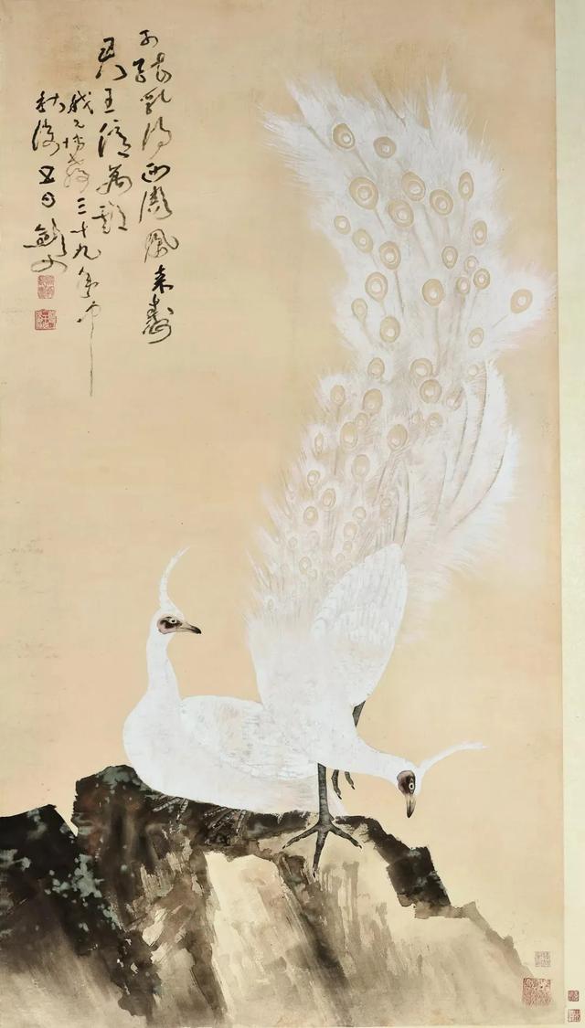 图文教程：写意白孔雀画法步骤