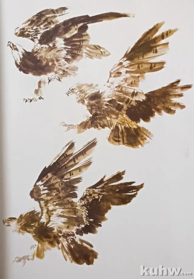 鹰的写意画法「中国画教程」