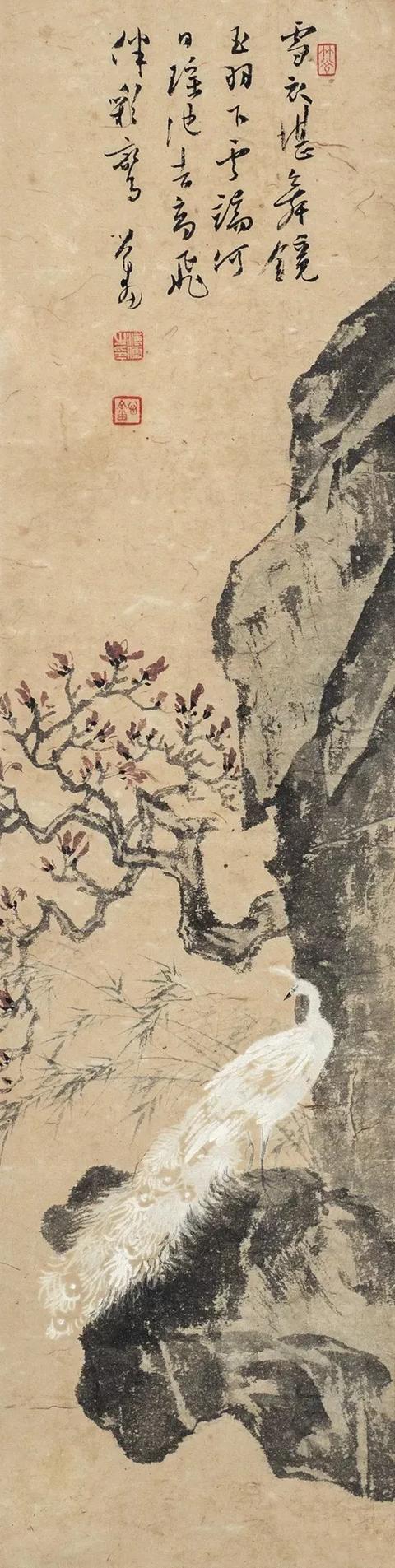 图文教程：写意白孔雀画法步骤