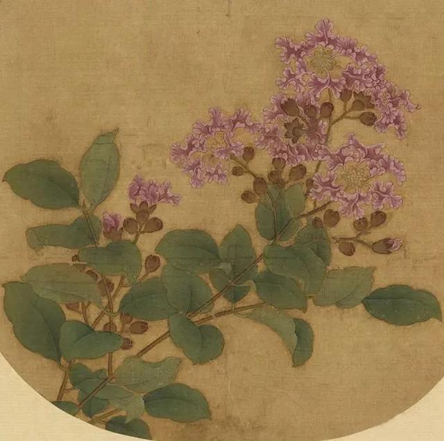 紫薇花的写意画法