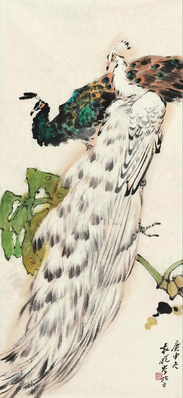 图文教程：写意白孔雀画法步骤