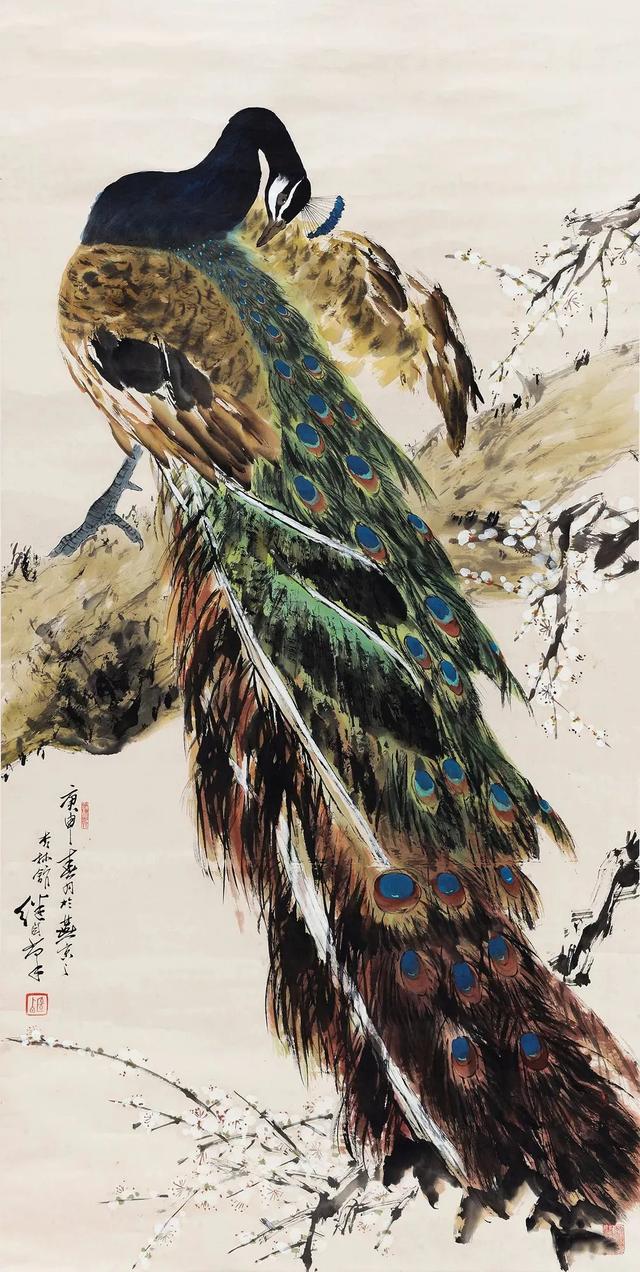 图文教程：写意白孔雀画法步骤